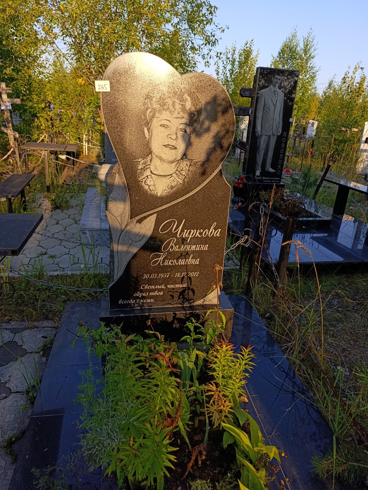 Чиркова Валентина Николаевна