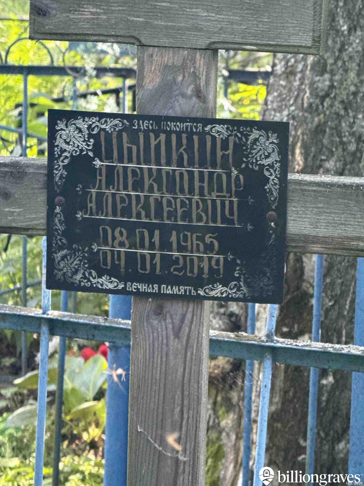 Цыпкин Александр Алексеевич