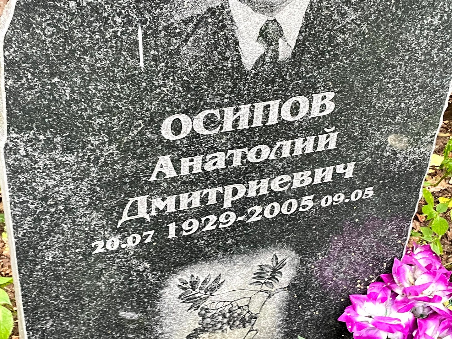Осипов