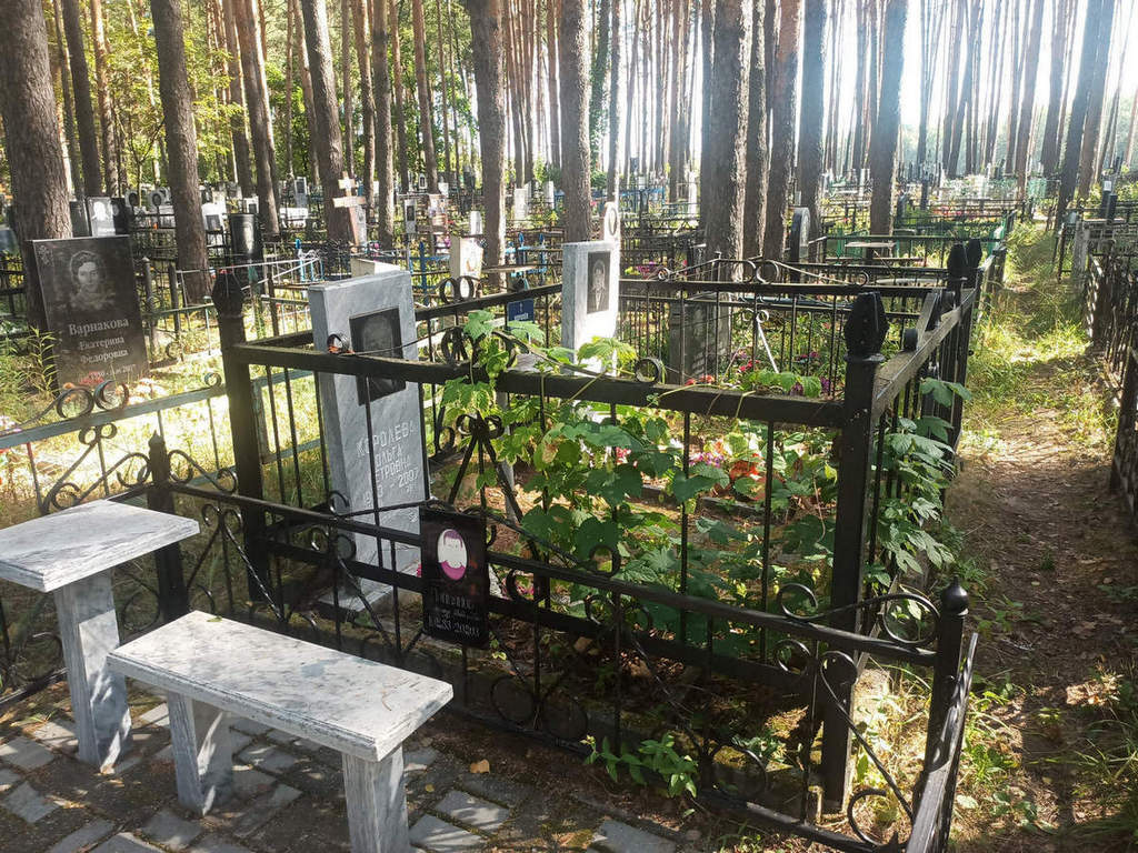 Королев Алексей Аркадьевич