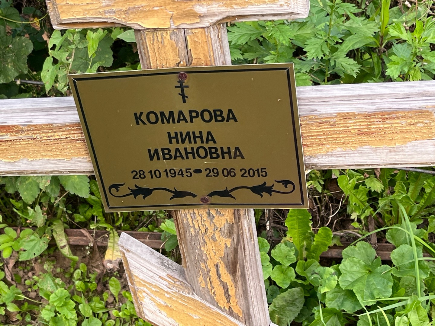 Комарова