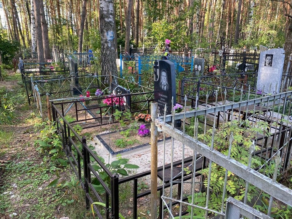 Лежнин Денис Николаевич