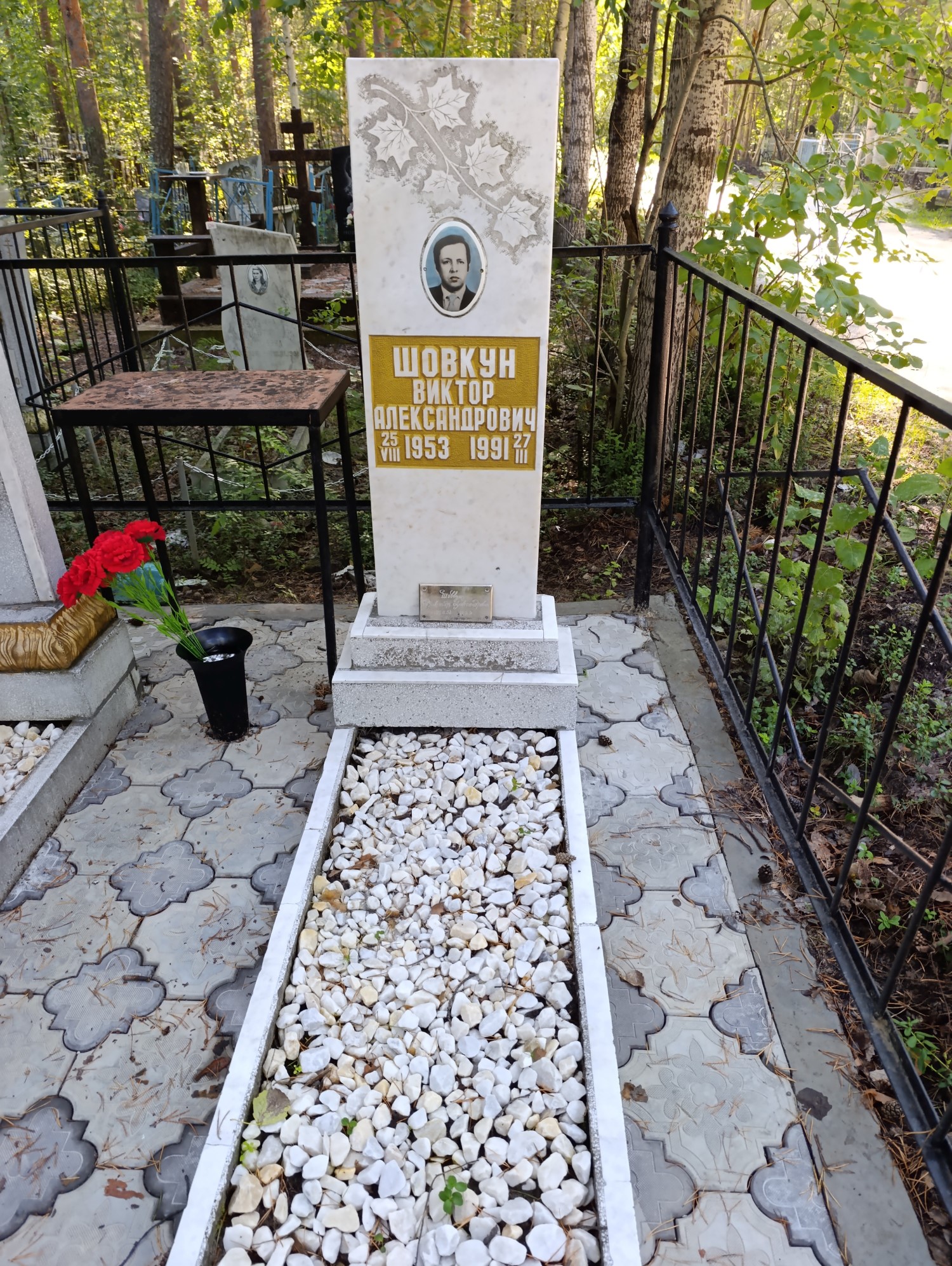 Шовкун Виктор Александрович