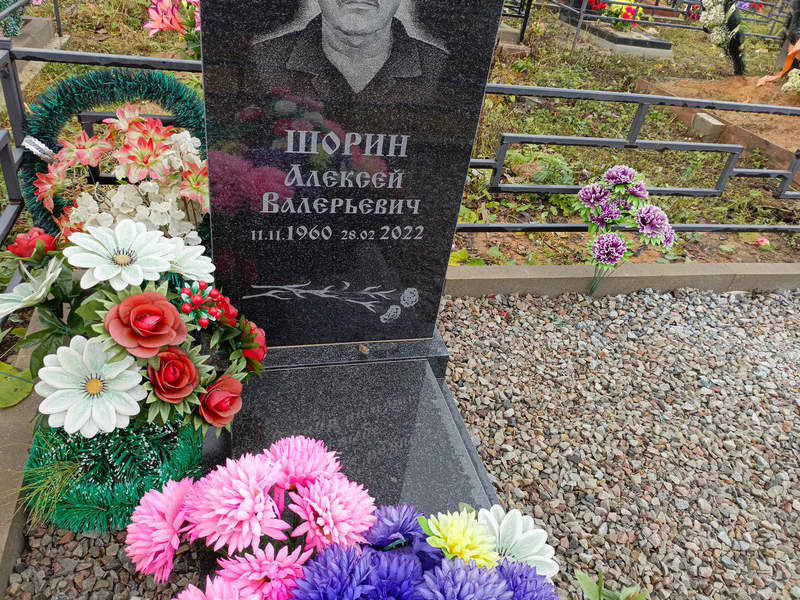 Шорин