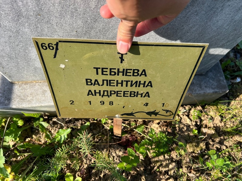 Тебнева