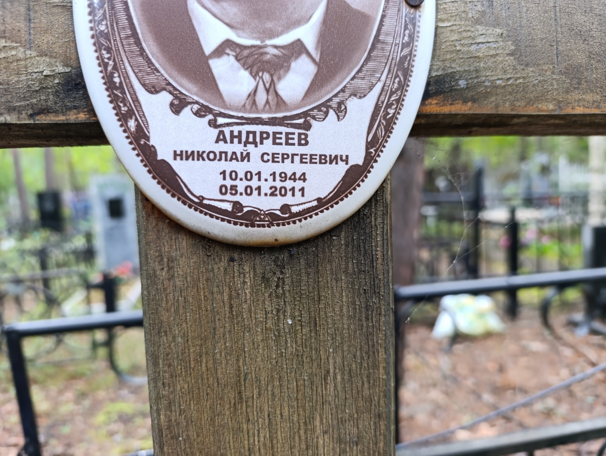 Андреев Николай Сергеевич