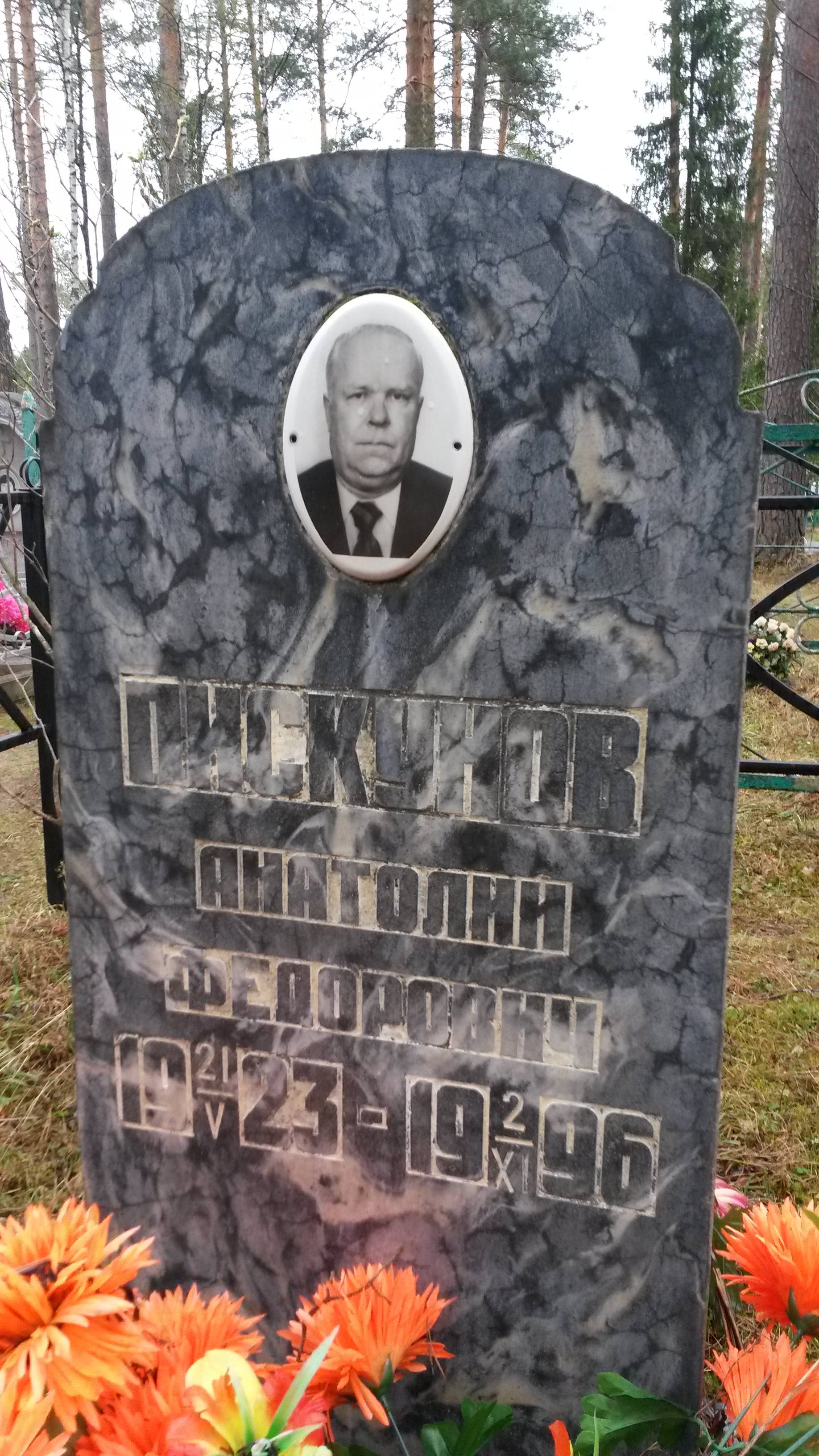 Пискунов Анатолий Фёдорович