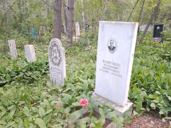 Величкин Владимир Дмитриевич