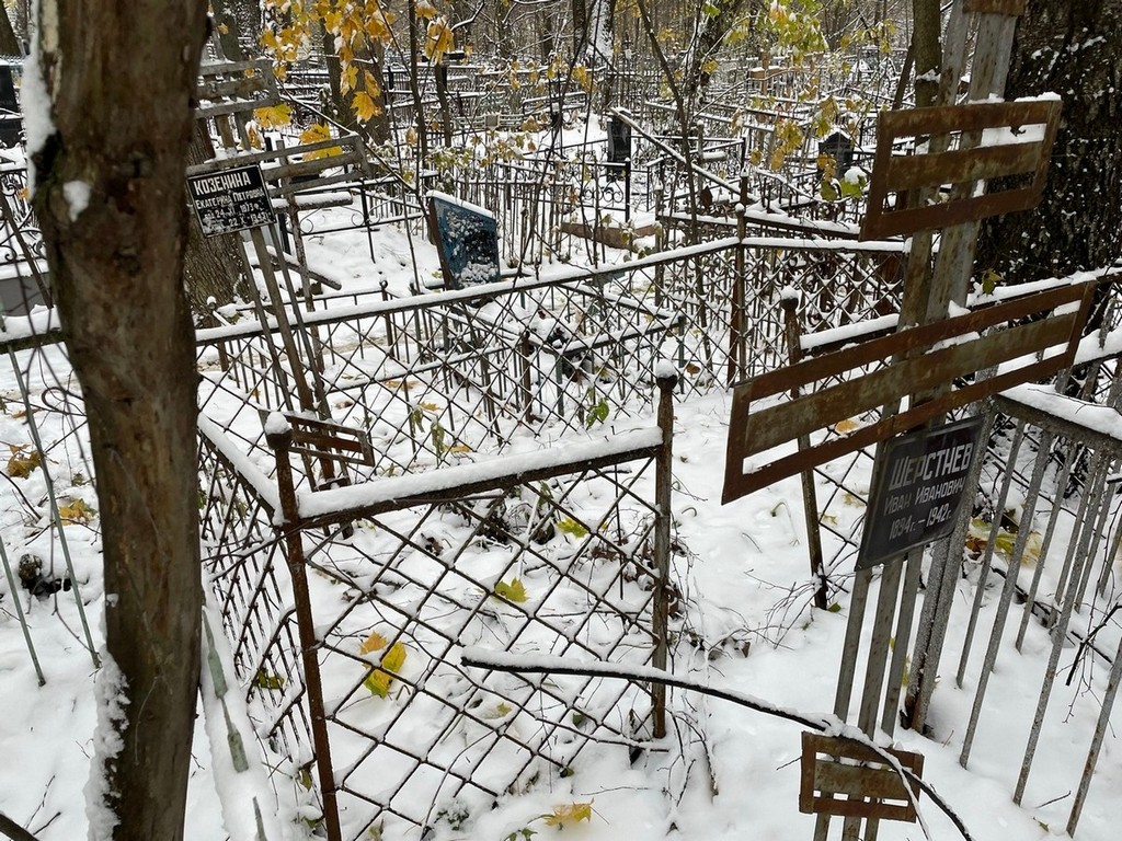 Козенина Екатерина Петровна