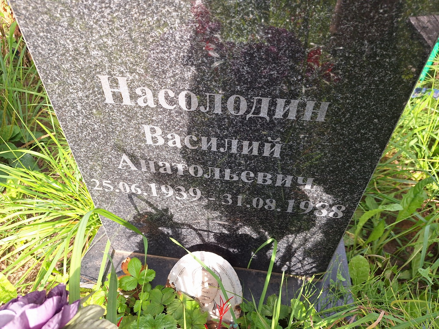 Насолодин