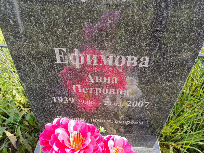 Ефимова