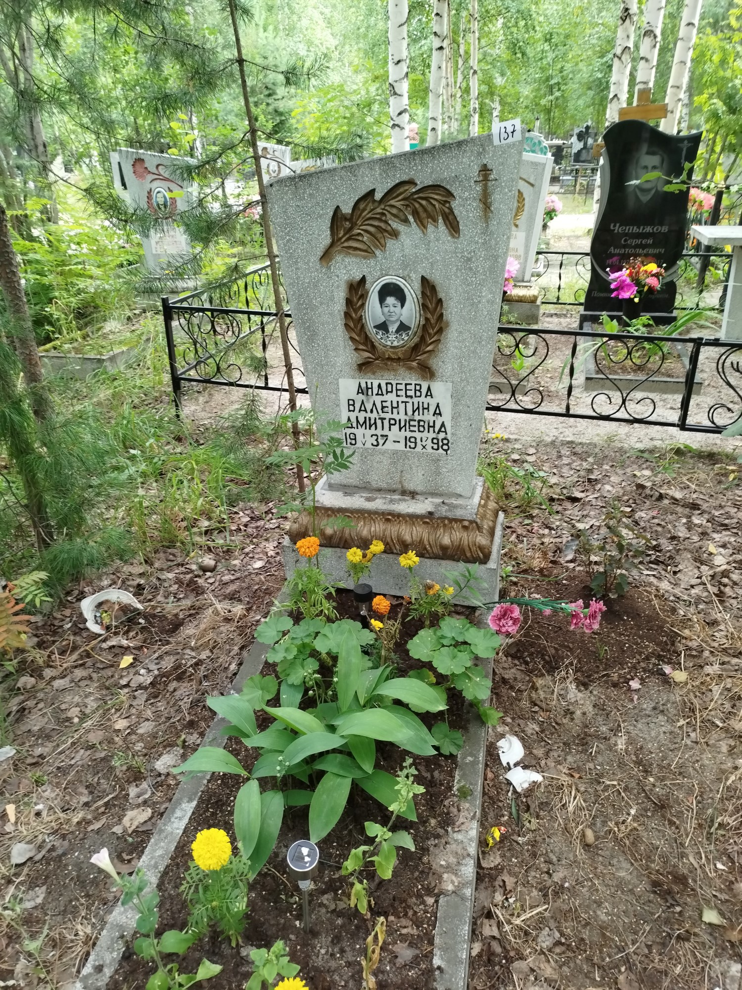 Андреева Валентина Дмитриевна