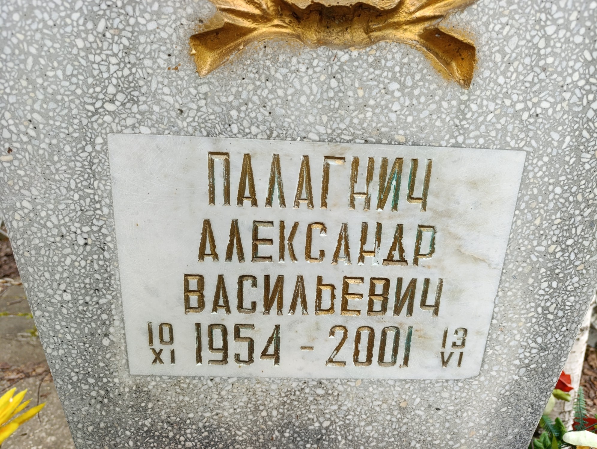 Палагнич Александр Васильевич