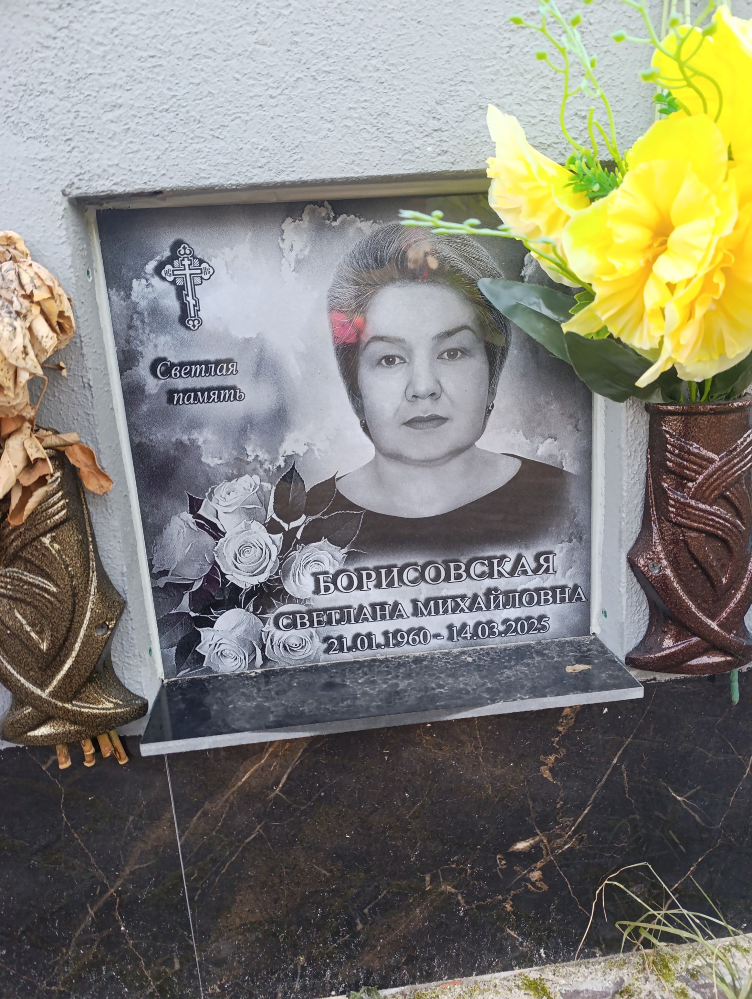 Борисовская Светлана Михайловна