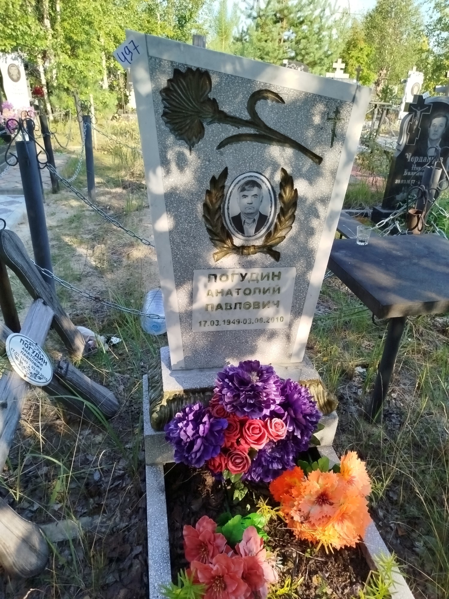 Погудин Анатолий Павлович