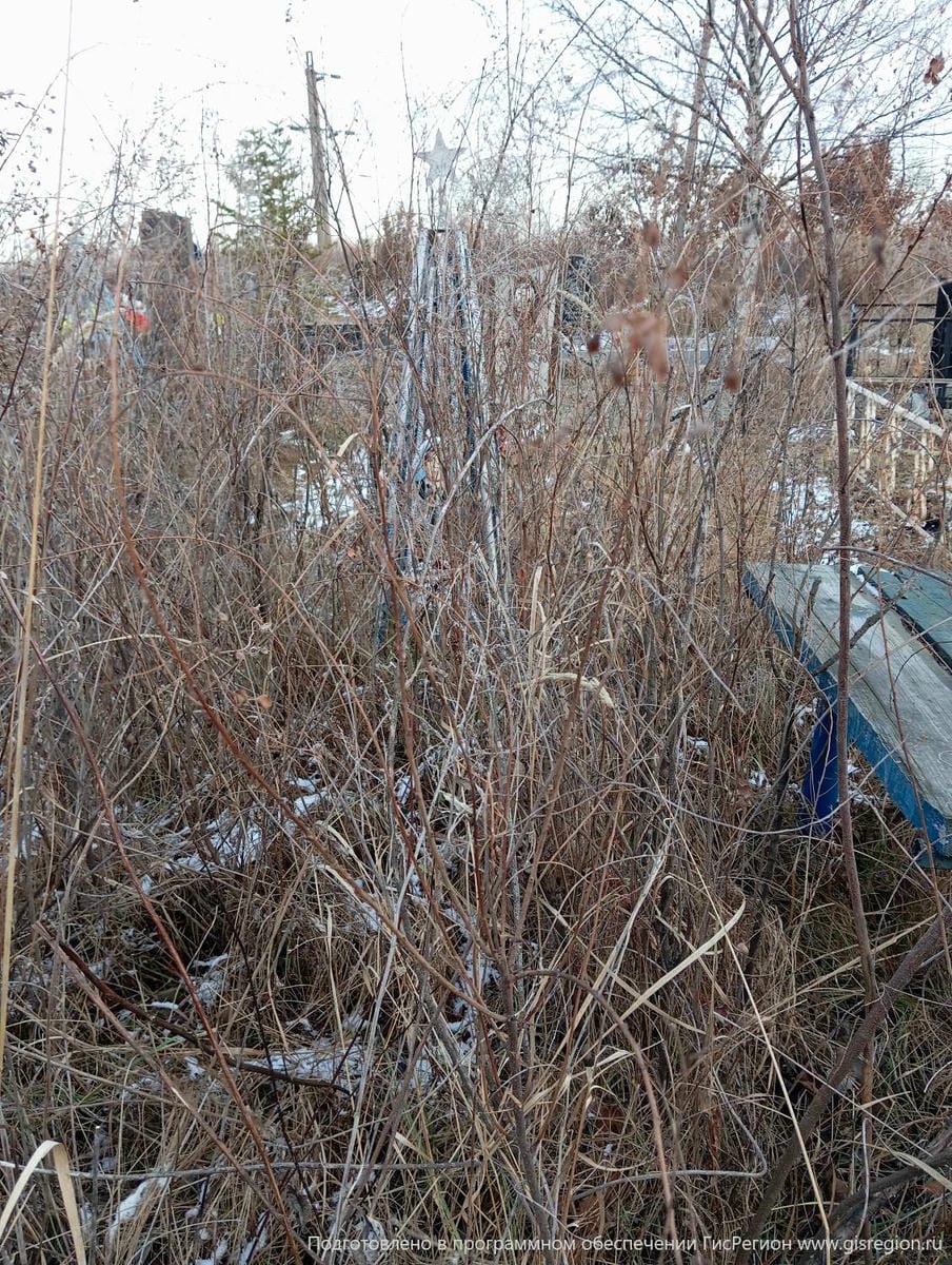 Клевлин Николай Георгиевич