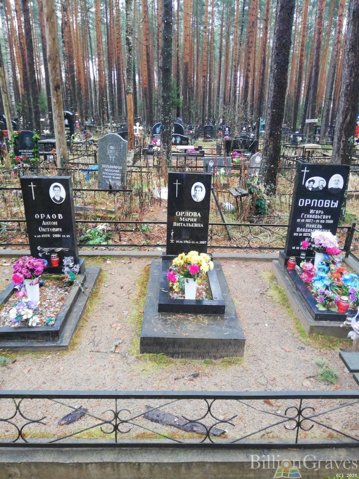 Орлова Мария Витальевна