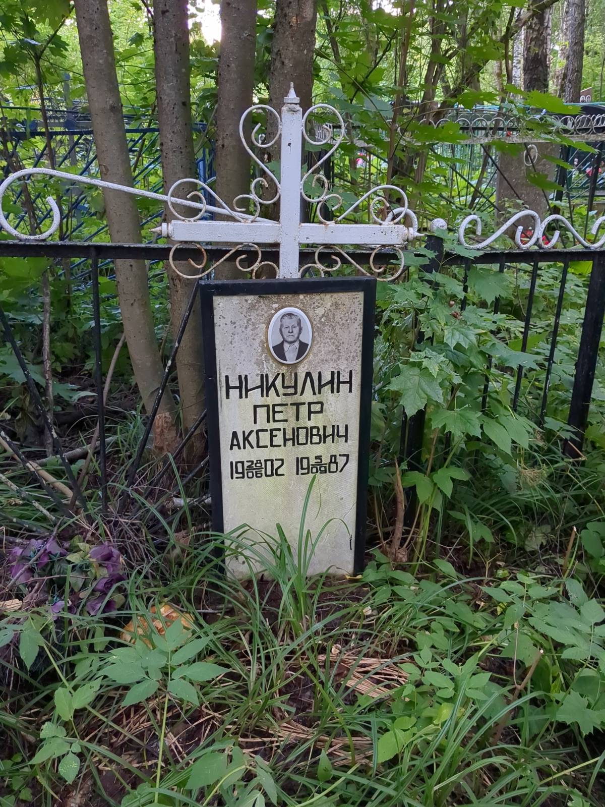 Никулин Петр Аксенович