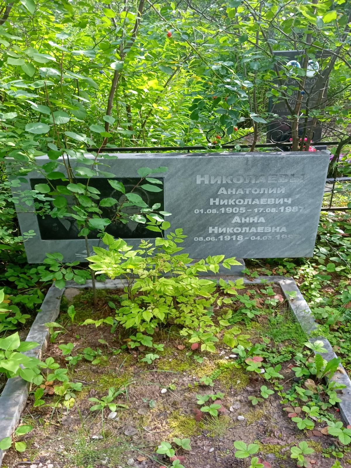 Николаева Анна Николаевна