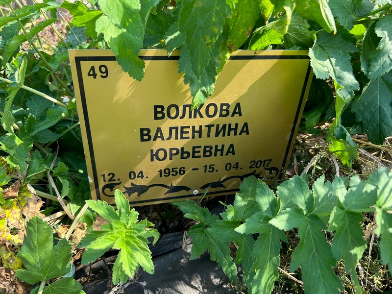 Волкова