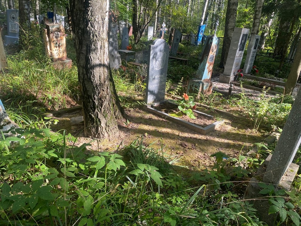 Гурулева Светлана