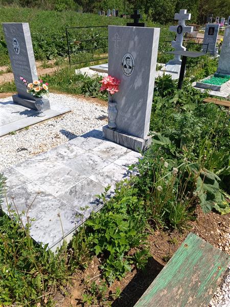 Домрачева Александра Александровна
