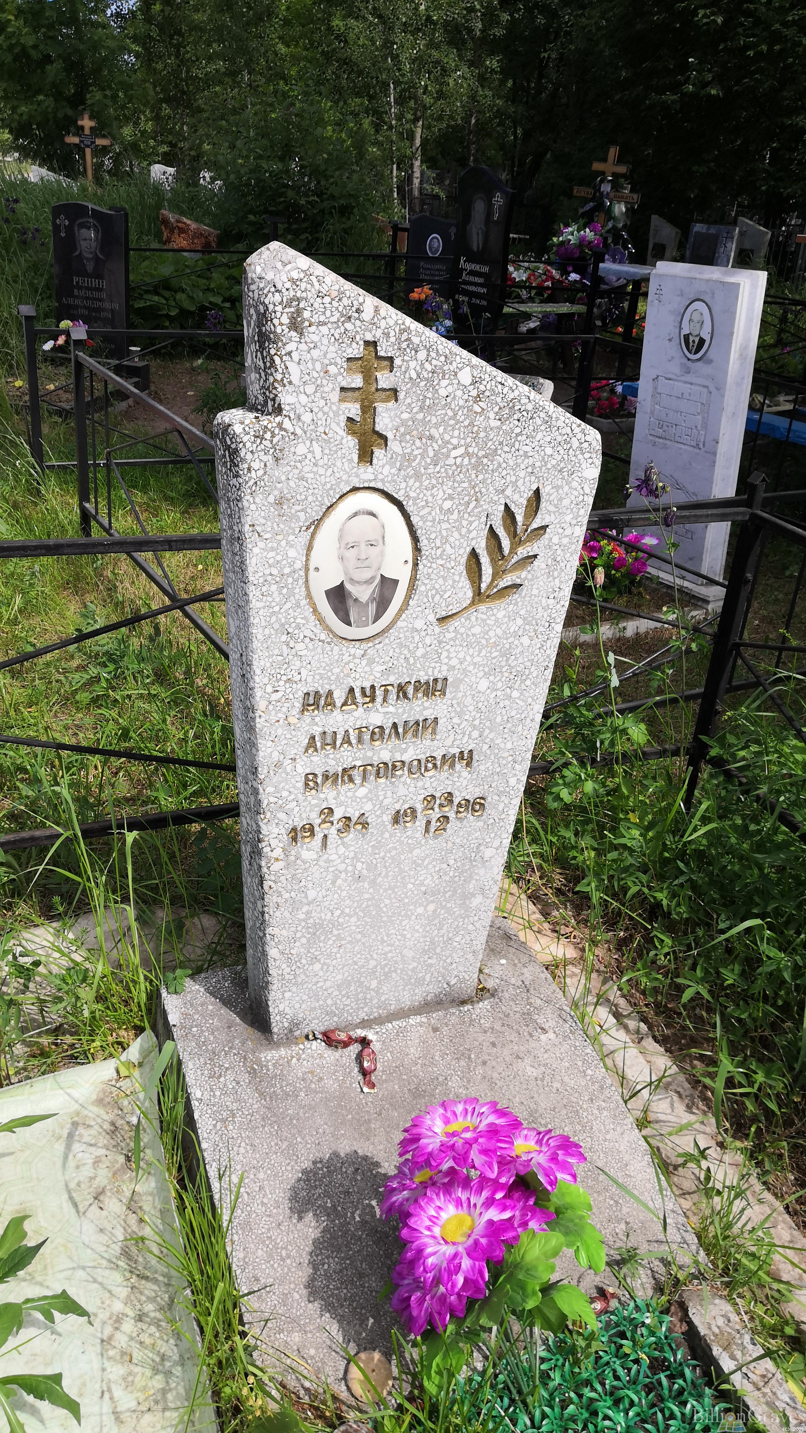 Надуткин Анатолий Викторович