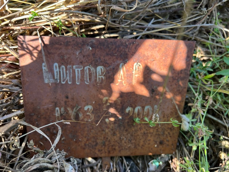 А Шитов Р