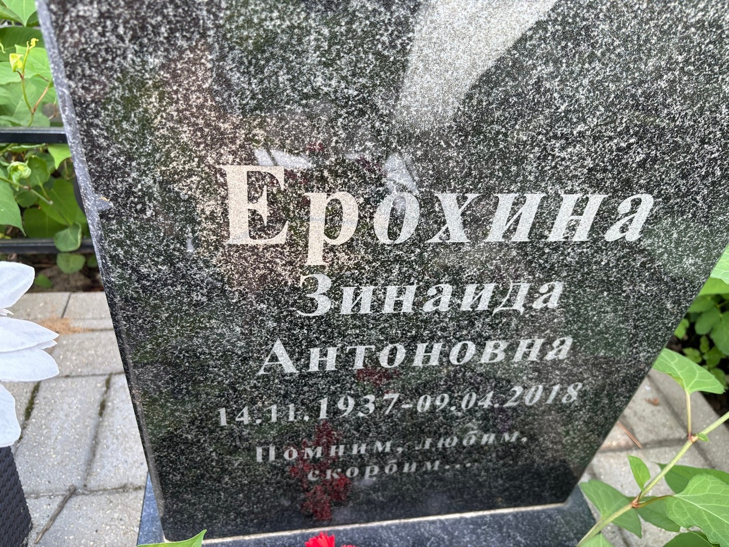Ерохина