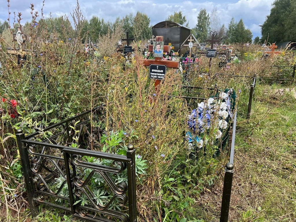 Приходько Станислав Григорьевич