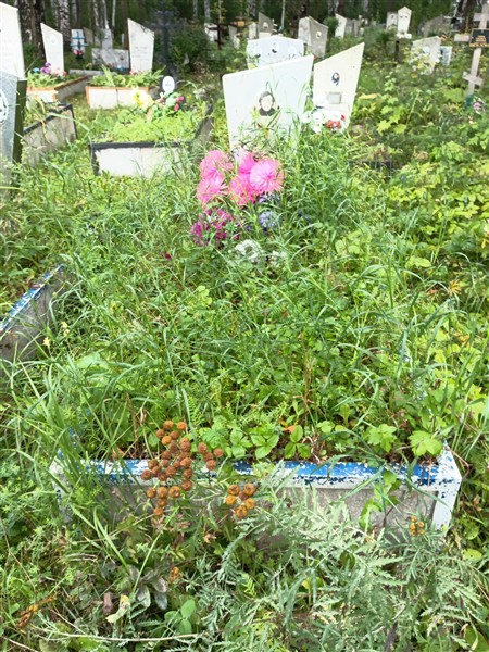 Швецов Василий Иванович