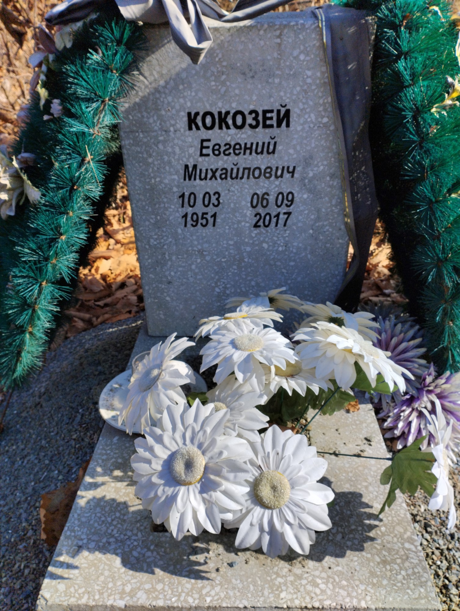 Кокозей Евгений Михайлович