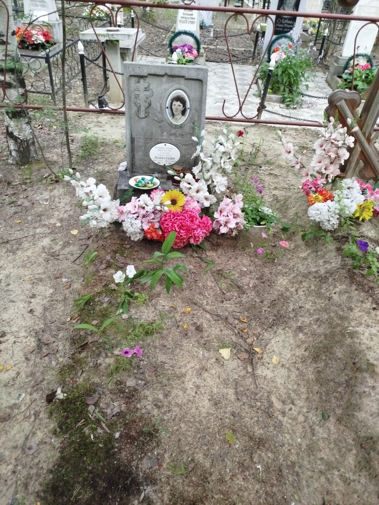 Алексеева Светлана Николаевна