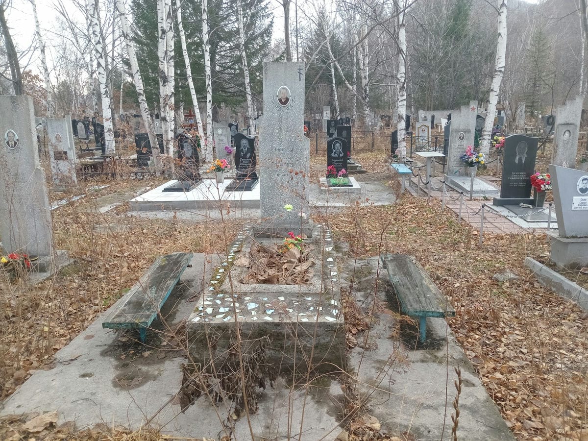 Дмитриева Елена Андреевна
