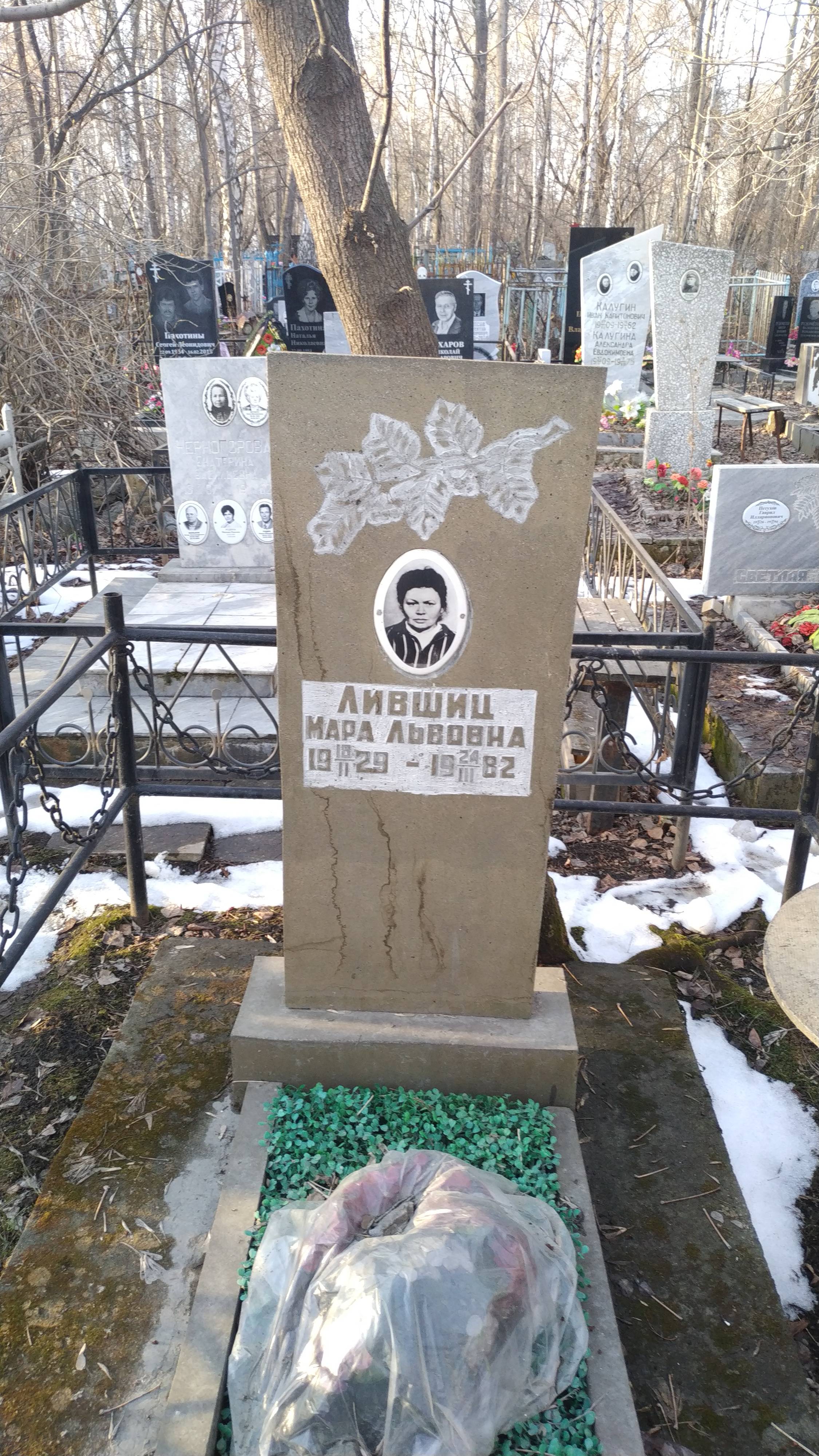 Лившиц Мара Львовна