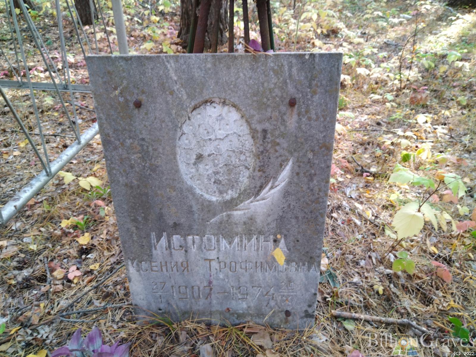 Истомина Ксения Трофимовна