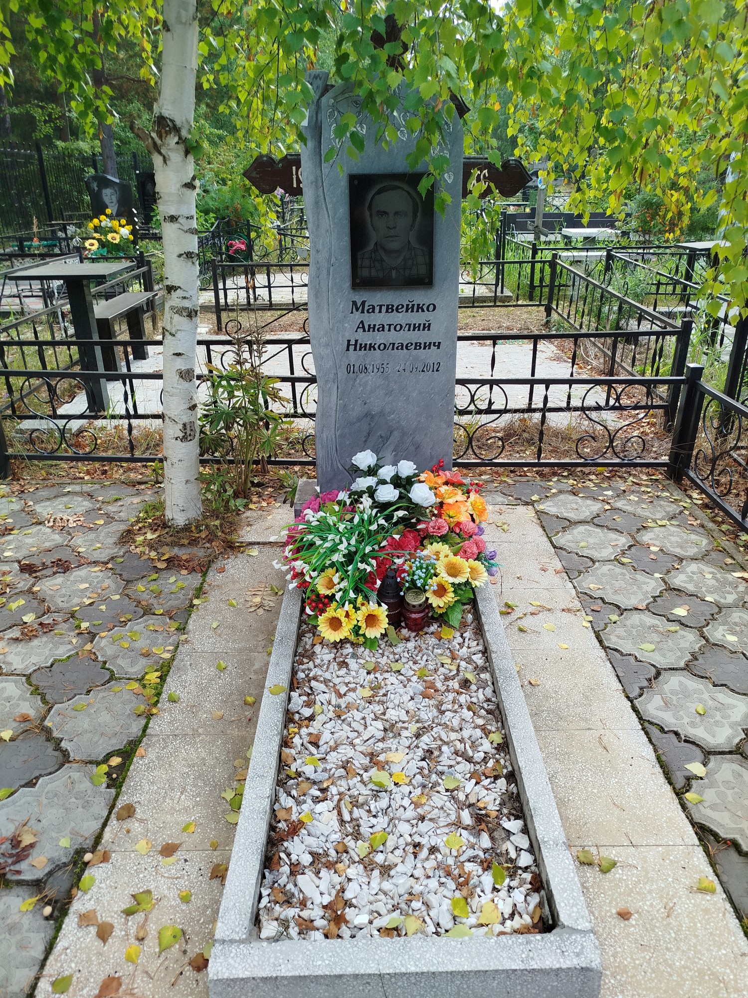 Матвейко Анатолий Николаевич