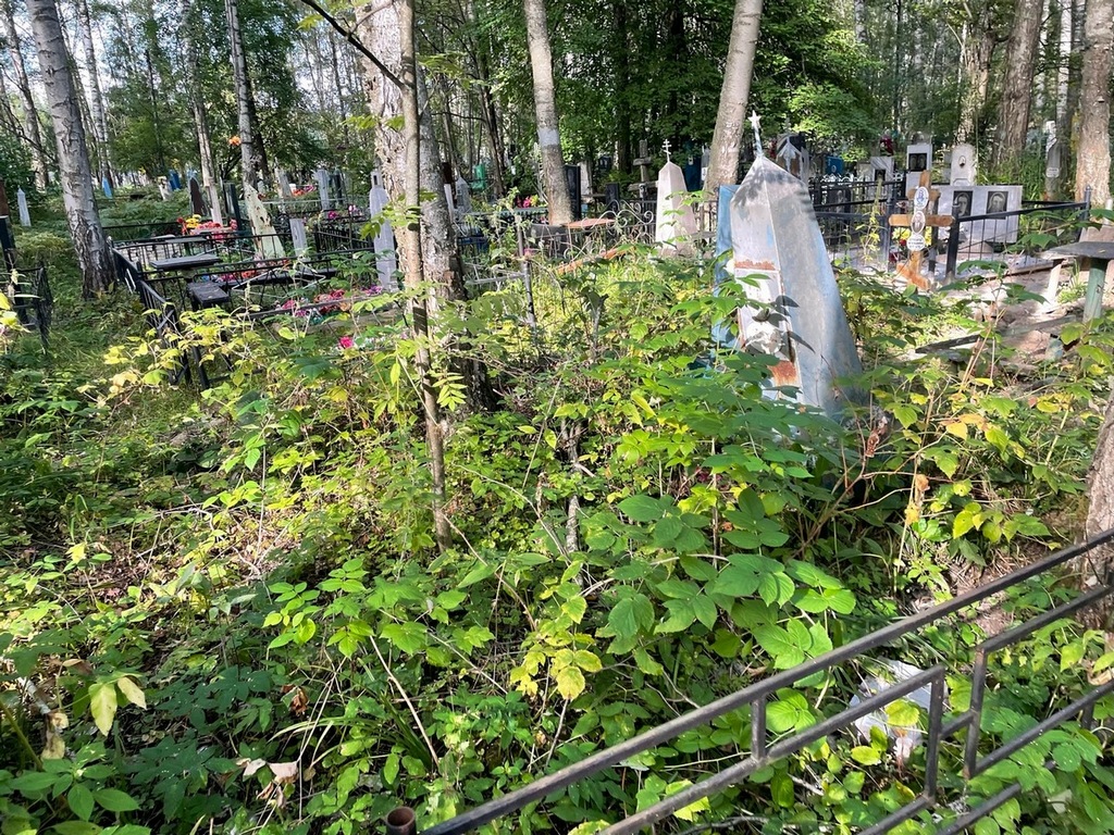 Приписнова Анна Константиновна