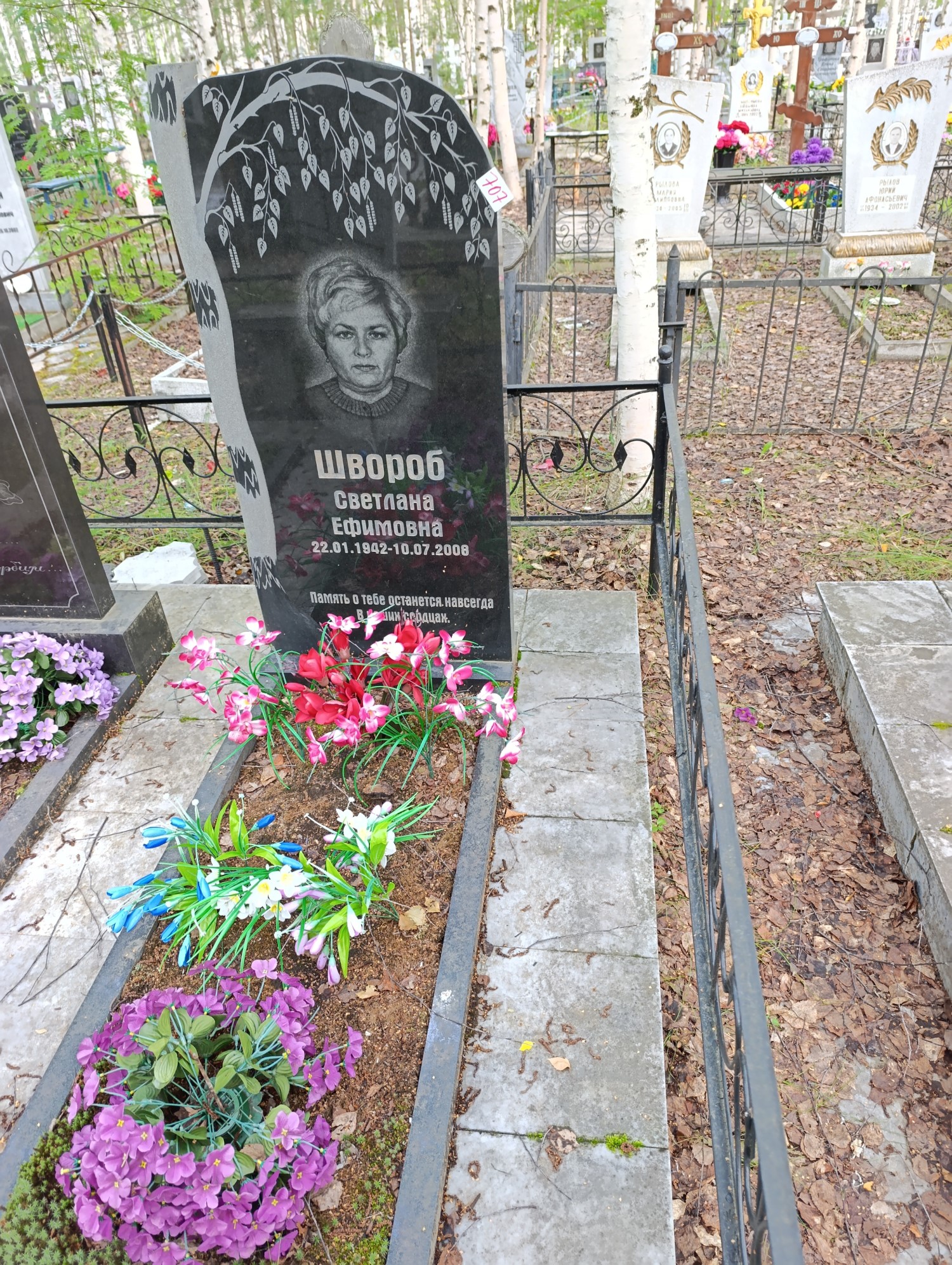 Швороб Светлана Ефимовна