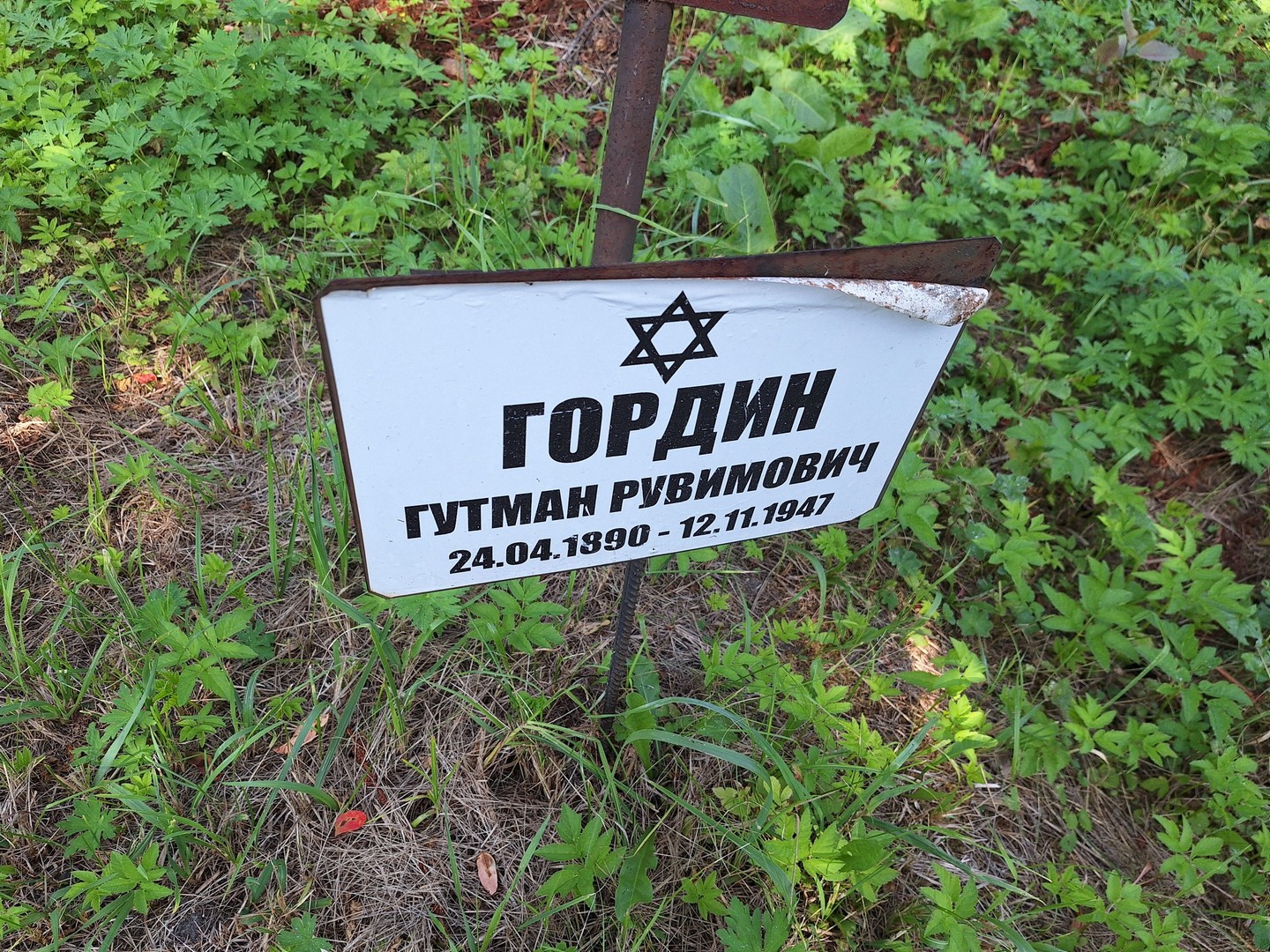 Гутман Гордин Рувимович