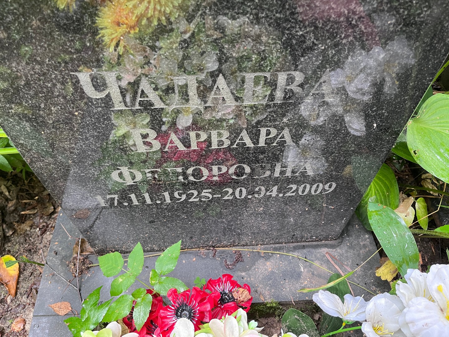 Чадаева Варвара Федоровна