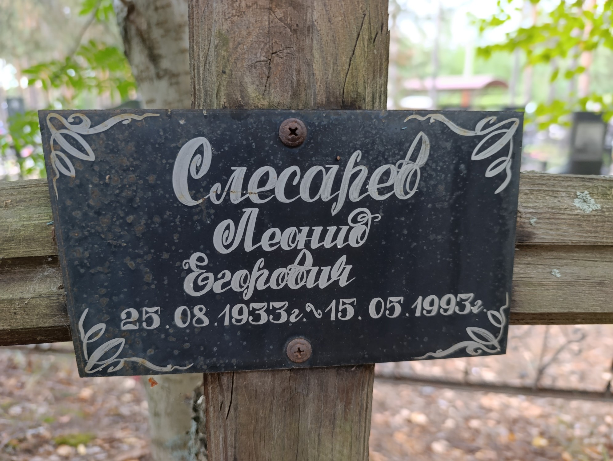 Слесарев Леонид Егорович