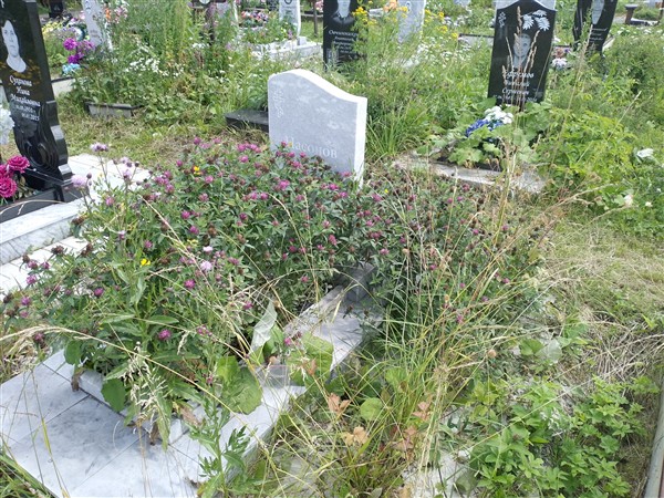 Насонов Сергей Викторович