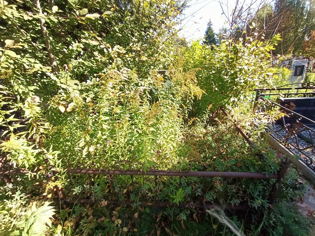 Синкевич Клара Яновна