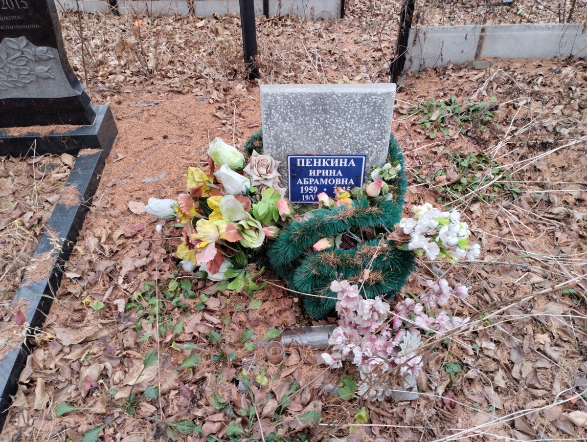Пенкина Ирина Абрамовна