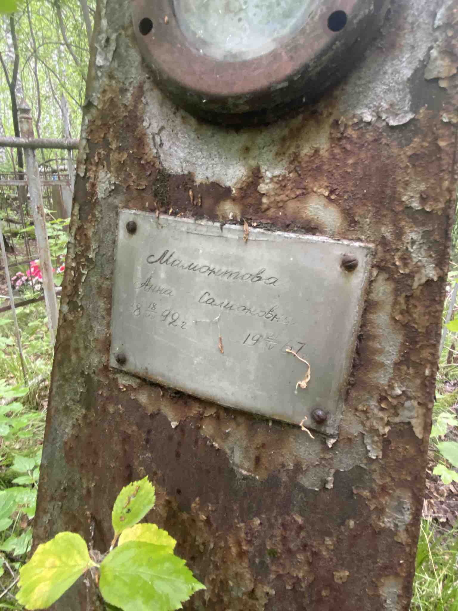 Мамонтова Анна Самсоновна