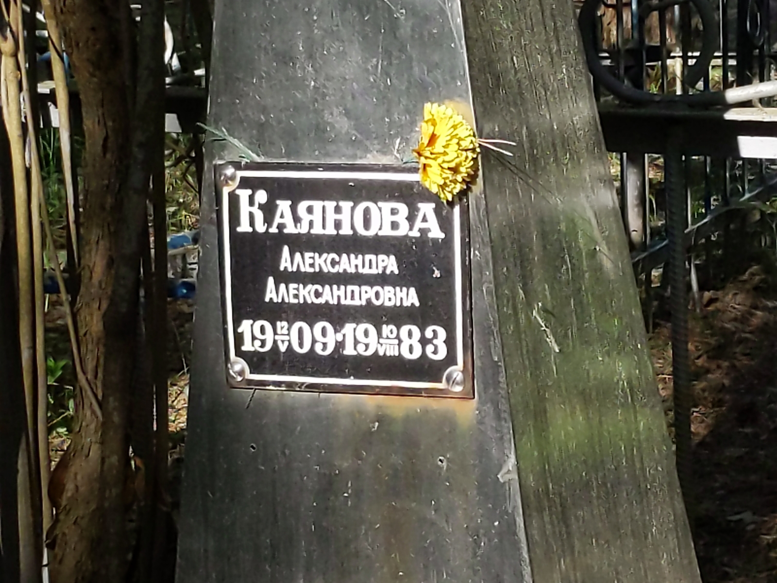 Каянова Александра Александровна