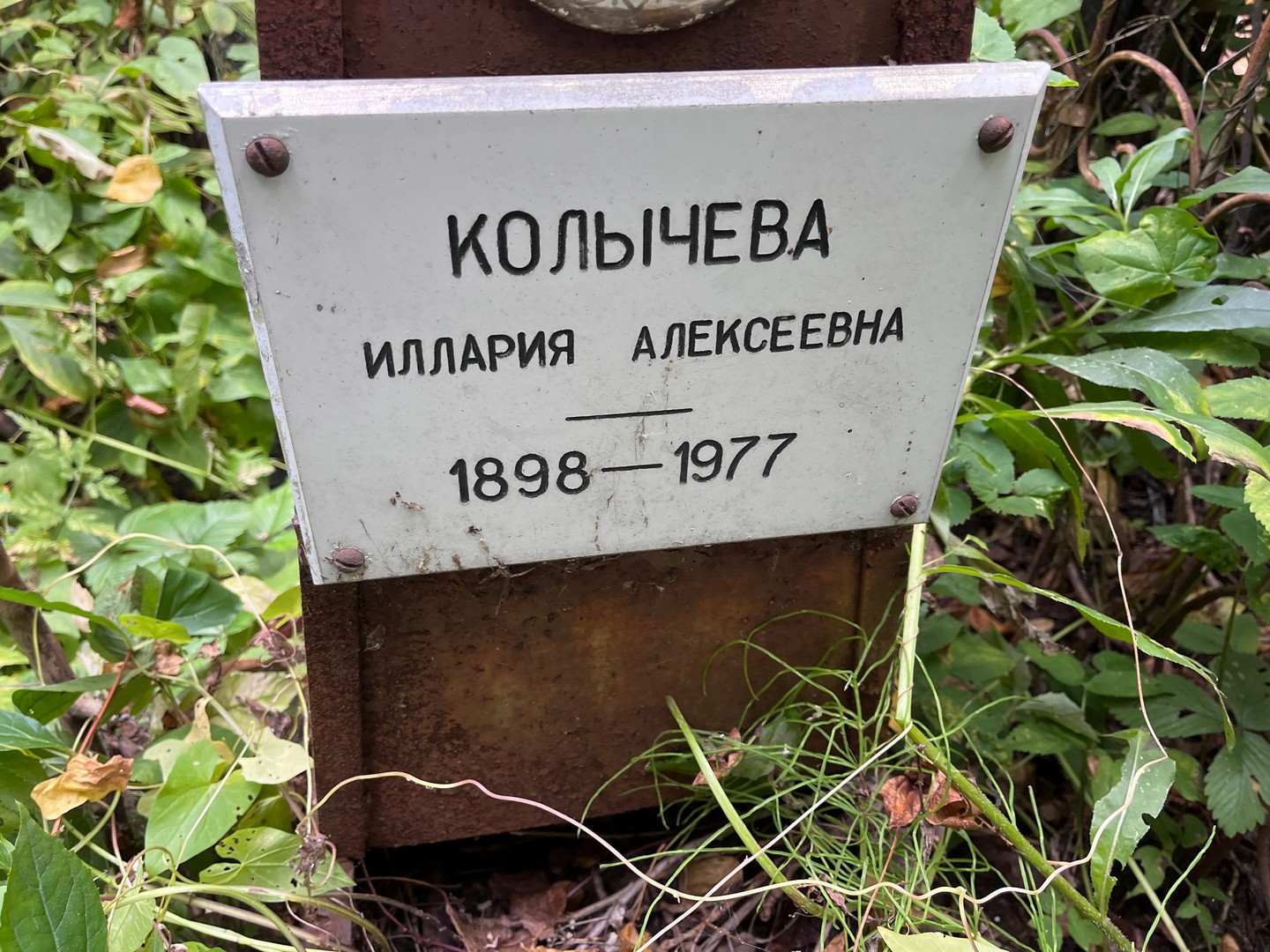 Иллария Колычева Алексеевна