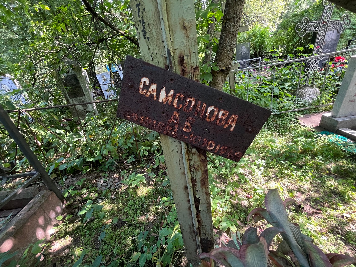 А Самсонова В