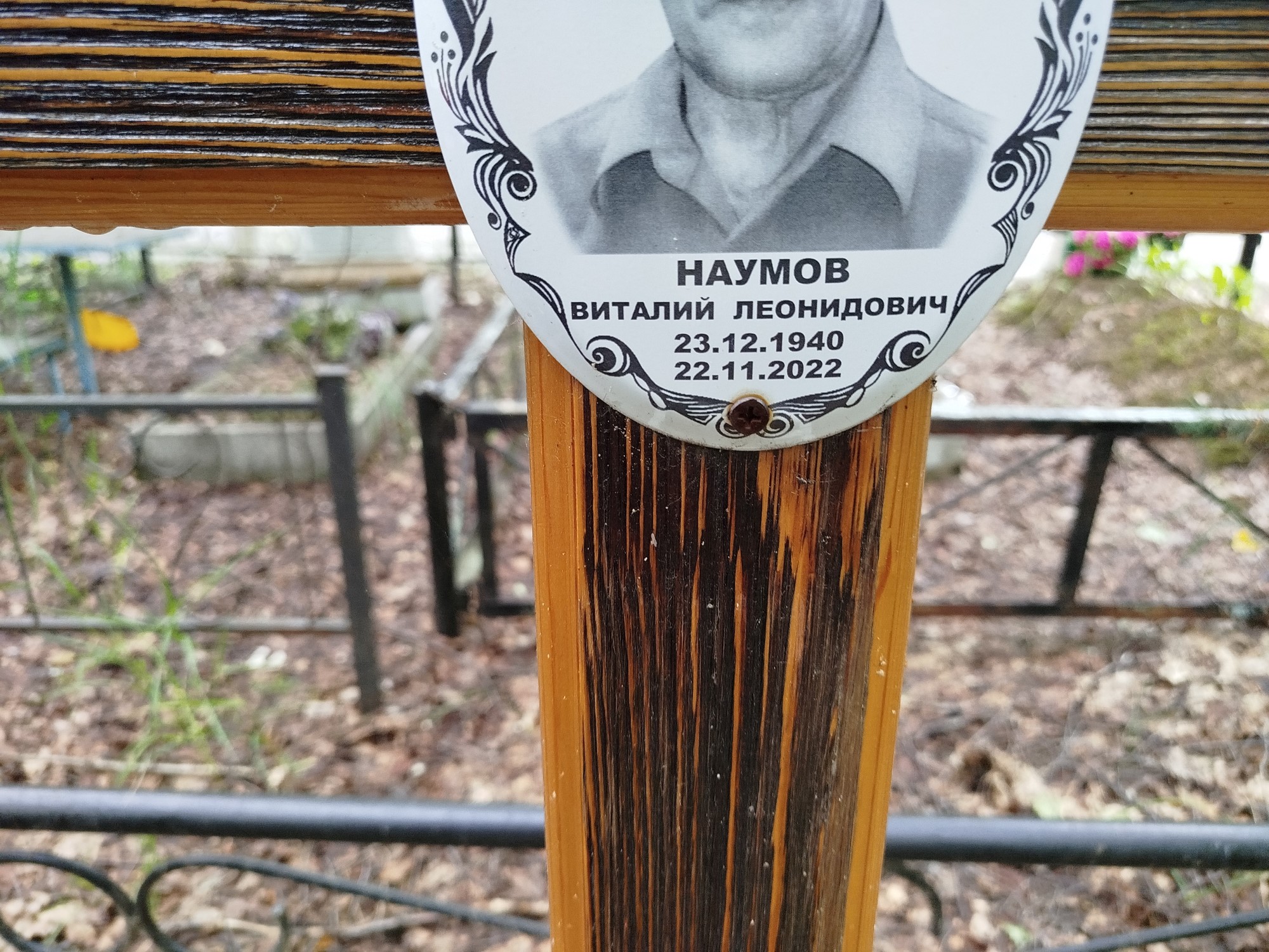 Наумов Виталий Леонидович